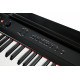 Artesia Performer Black