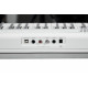 Artesia Performer White