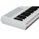 Artesia Performer White