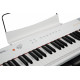 Artesia Performer White